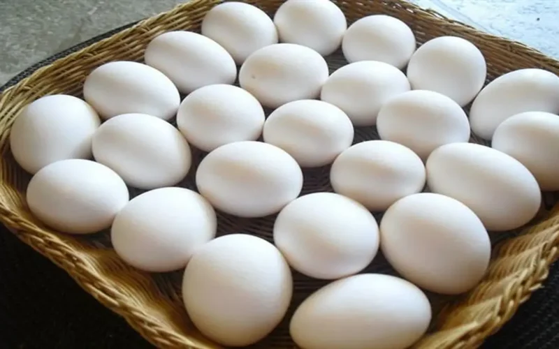 تراجع واضح في أسعار كرتونة البيض ببورصة الدواجن اليوم الجمعة